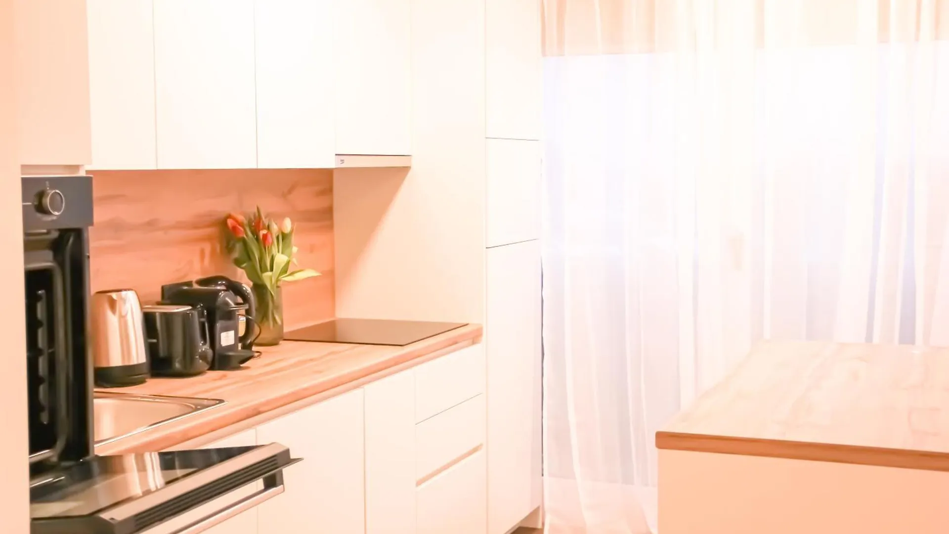 Modern Penthouse Apartment With Balcony & Free Parking Vienna Austria