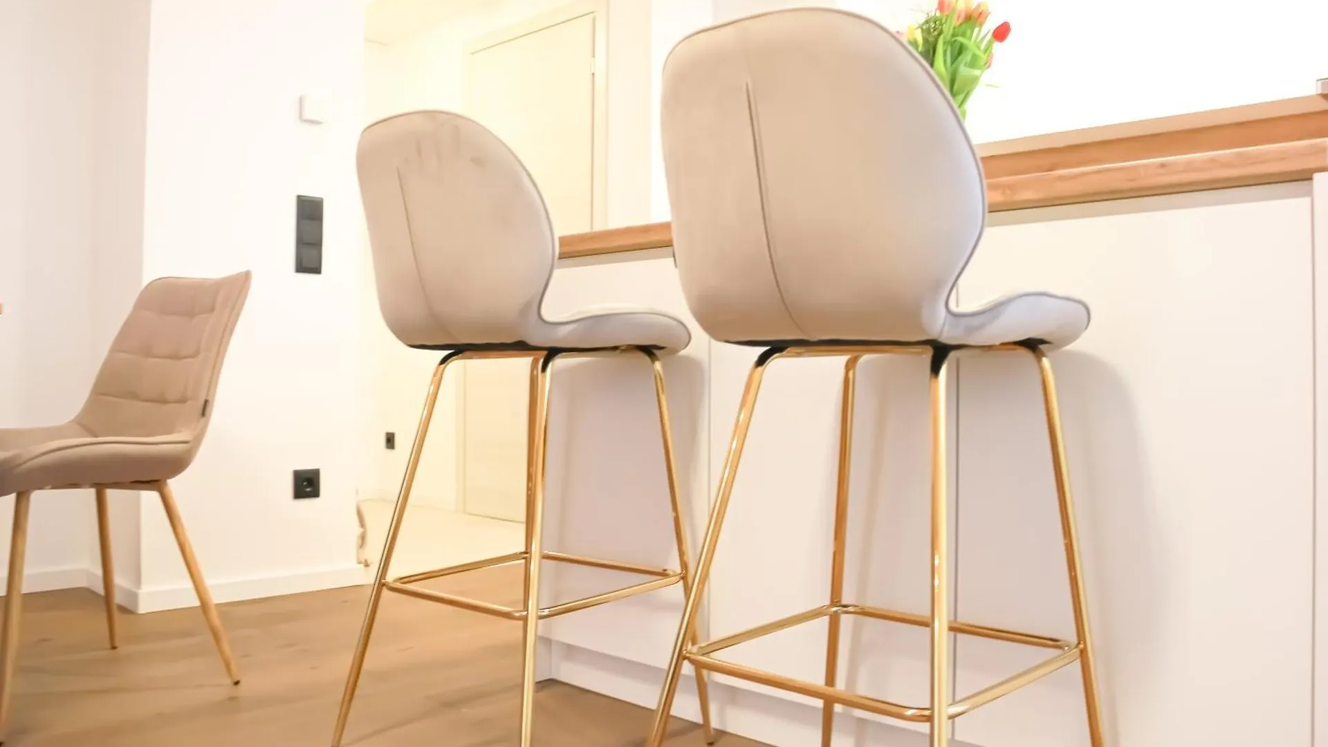 Modern Penthouse Apartment With Balcony & Free Parking Vienna Austria